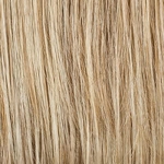 Gallery_HAI001266-55985