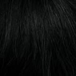 Gallery_HAI000306-35967